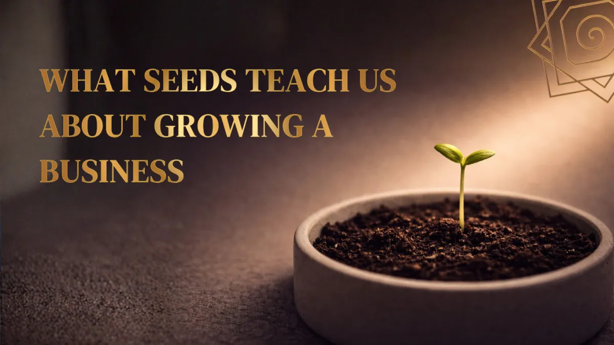 What Seeds Teach Us About Growing a Business