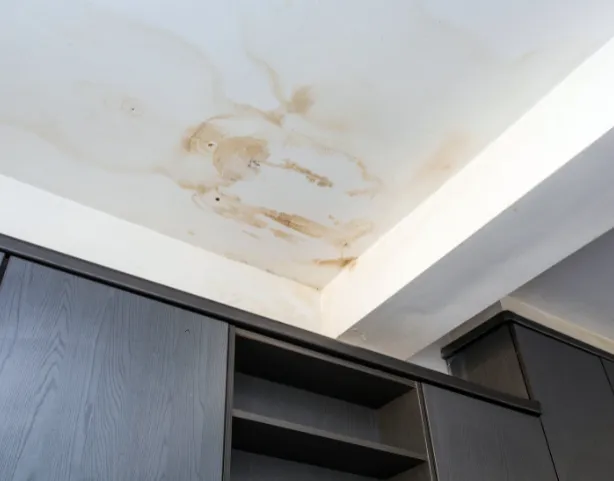 Vocht in huis