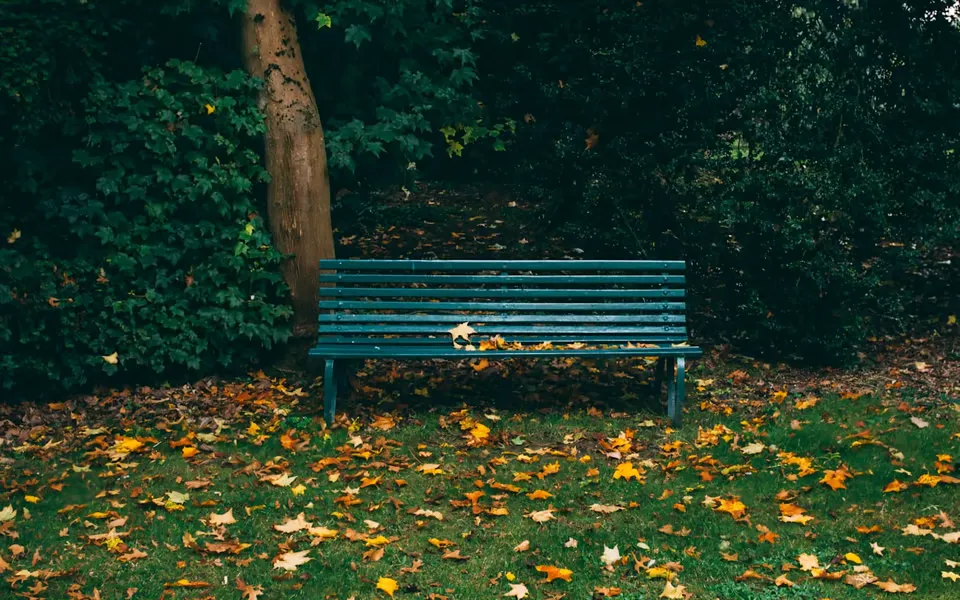 A Guide to Lakeway, TX, Parks