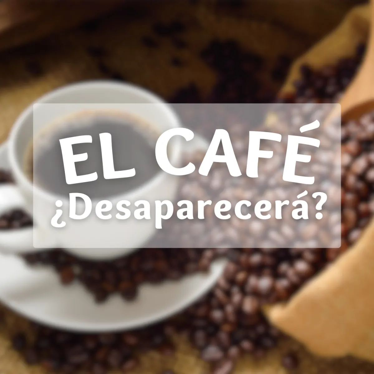 El fin del cafe, economia circular al rescate