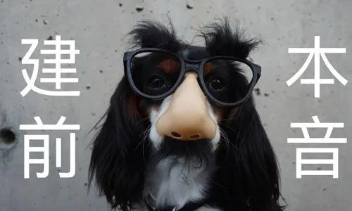 dog wearing groucho glasses