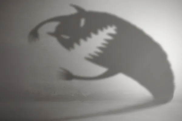 a shadow of a monster in a dark room
