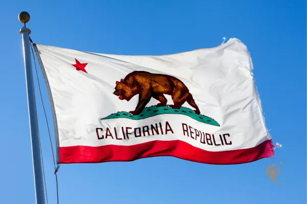 california republic flag - california flag stock videos & royalty-free footage