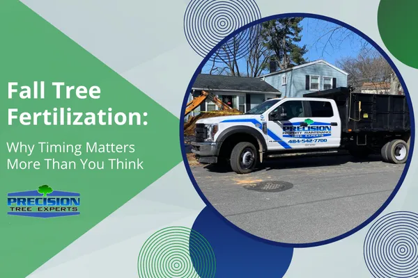 Fall Tree Fertilization: Why Timing Matters More Than You Think