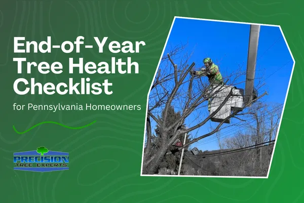 End-of-Year Tree Health Checklist for Pennsylvania Homeowners
