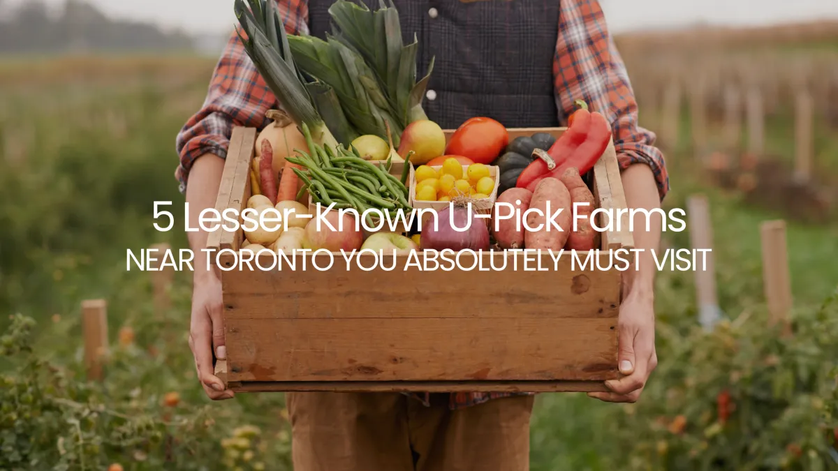 Discover the Best Hidden Gems: 5 Lesser-Known U-Pick Farms Near Toronto You Absolutely Must Visit
