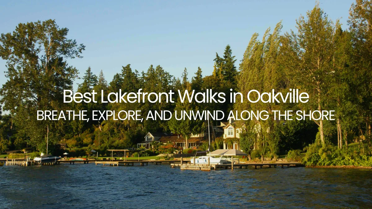 Best Lakefront Walks in Oakville | Top Waterfront Trails & Views