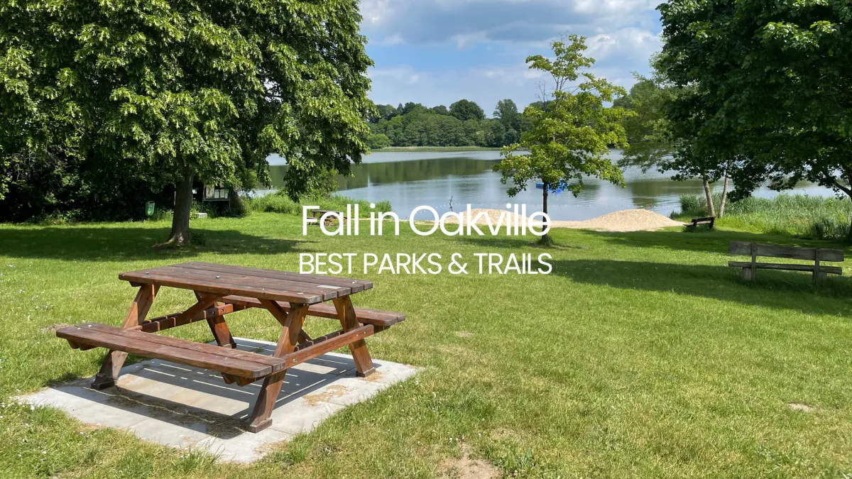 Fall in Oakville: Best Parks and Trails for Autumn Walks (2025 Guide)