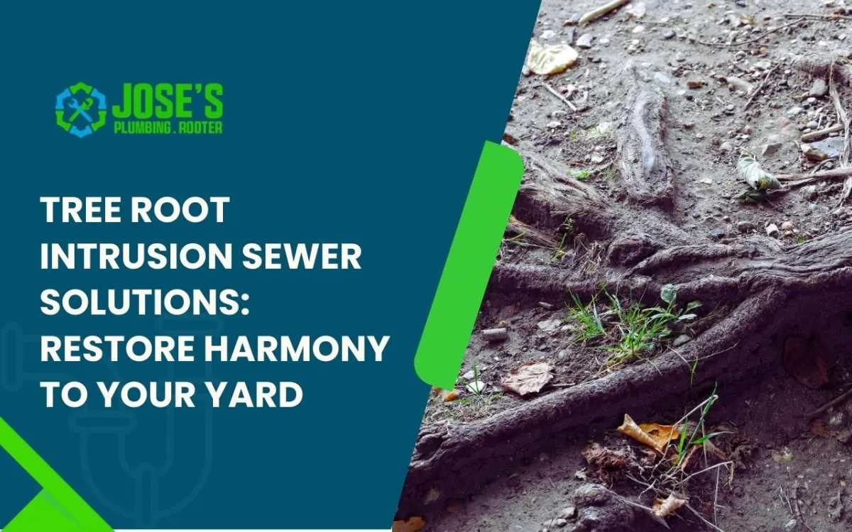Tree root intrusion sewer solutions for homeowners
