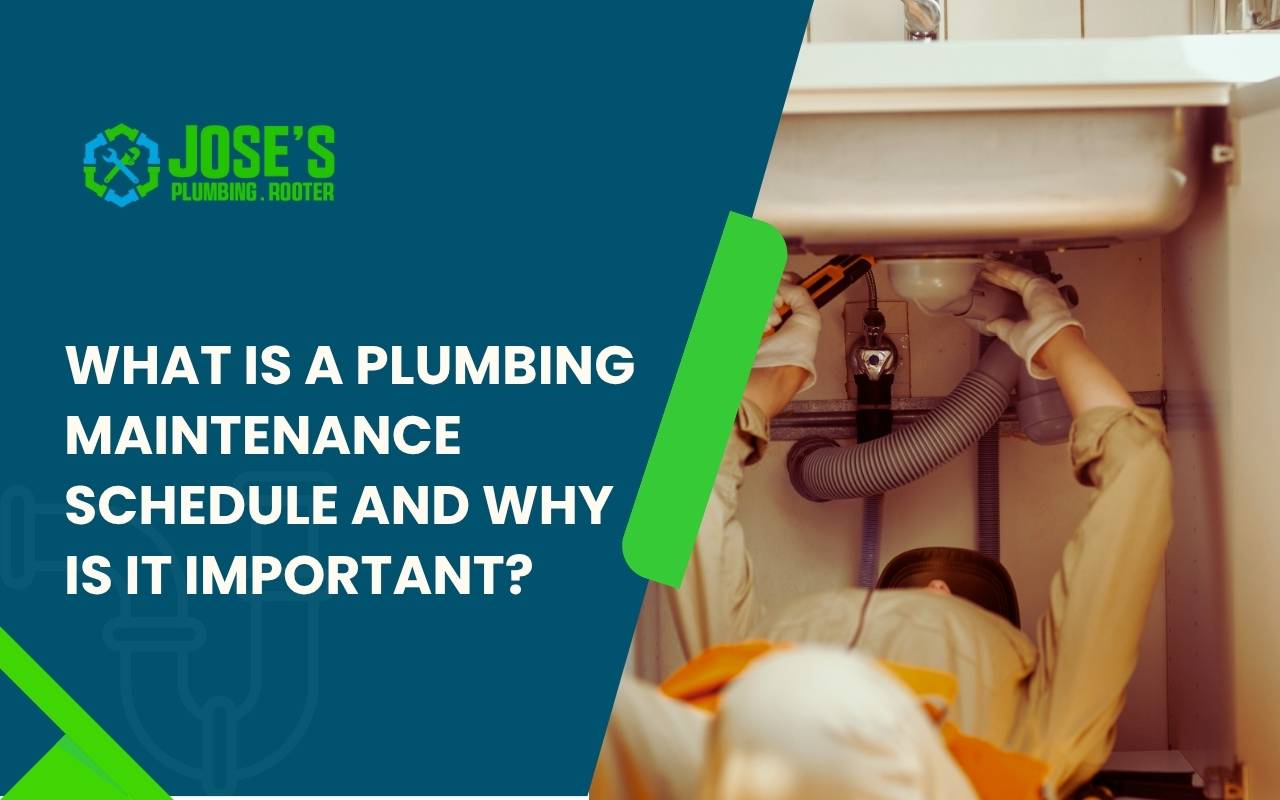 Monthly plumbing inspection as part of home maintenance schedule