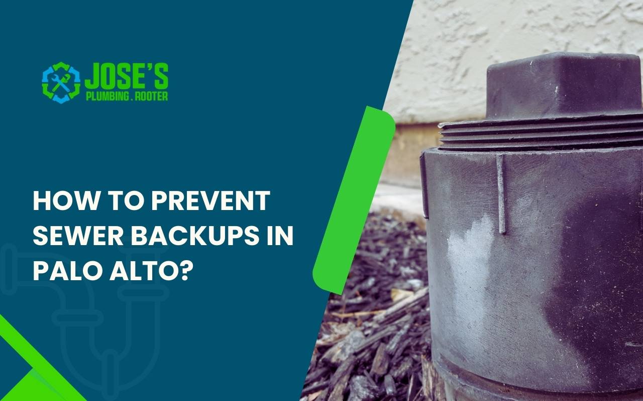 Sewer camera inspection revealing tree roots inside a pipe in a Palo Alto property.