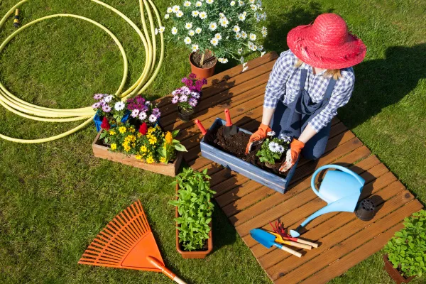 DIY Landscaping Ideas to Improve Your Arizona Home’s Curb Appeal