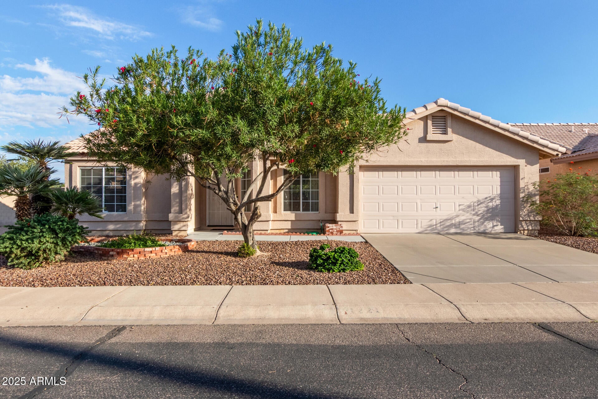 Fall in Love with Chandler Living – Explore 1221 S Bridger Dr