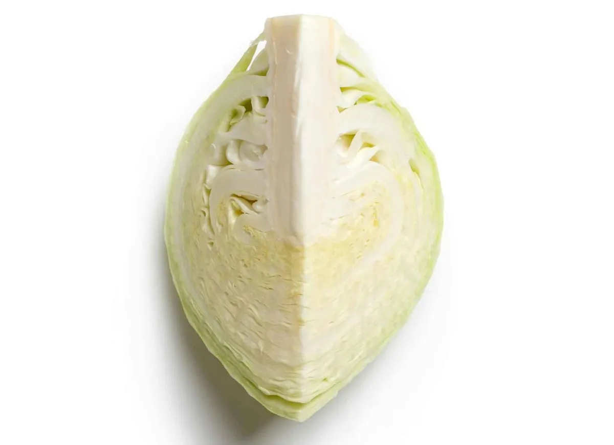 kraut-bild-eva-kristandl