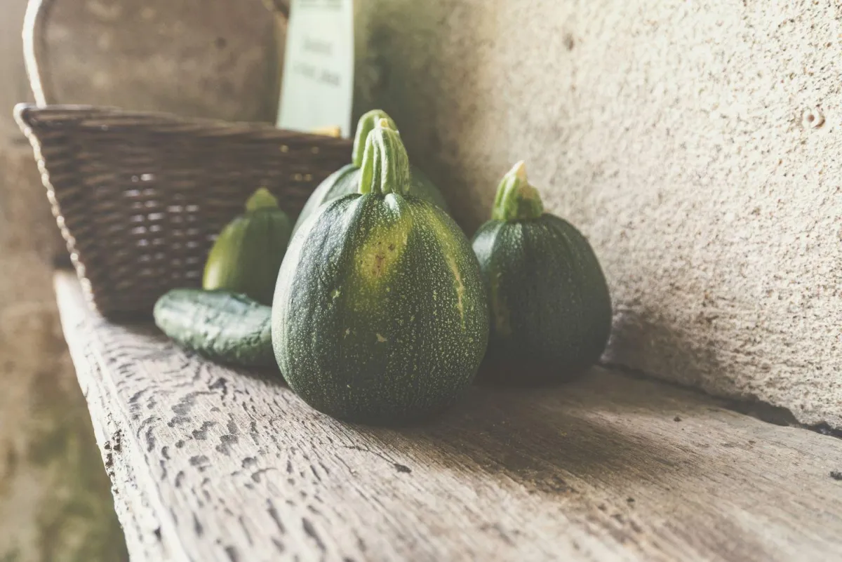 REISSUPPE MIT ZUCCHINI