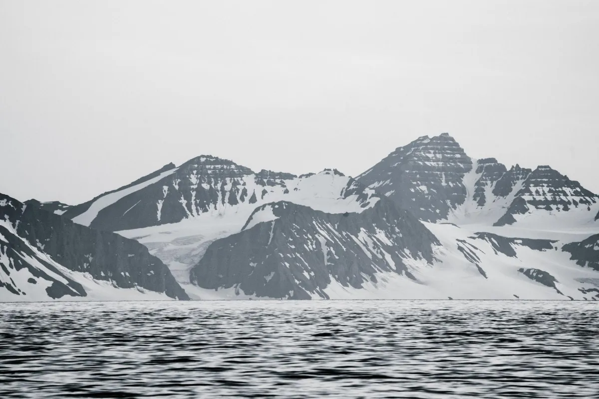 arctic