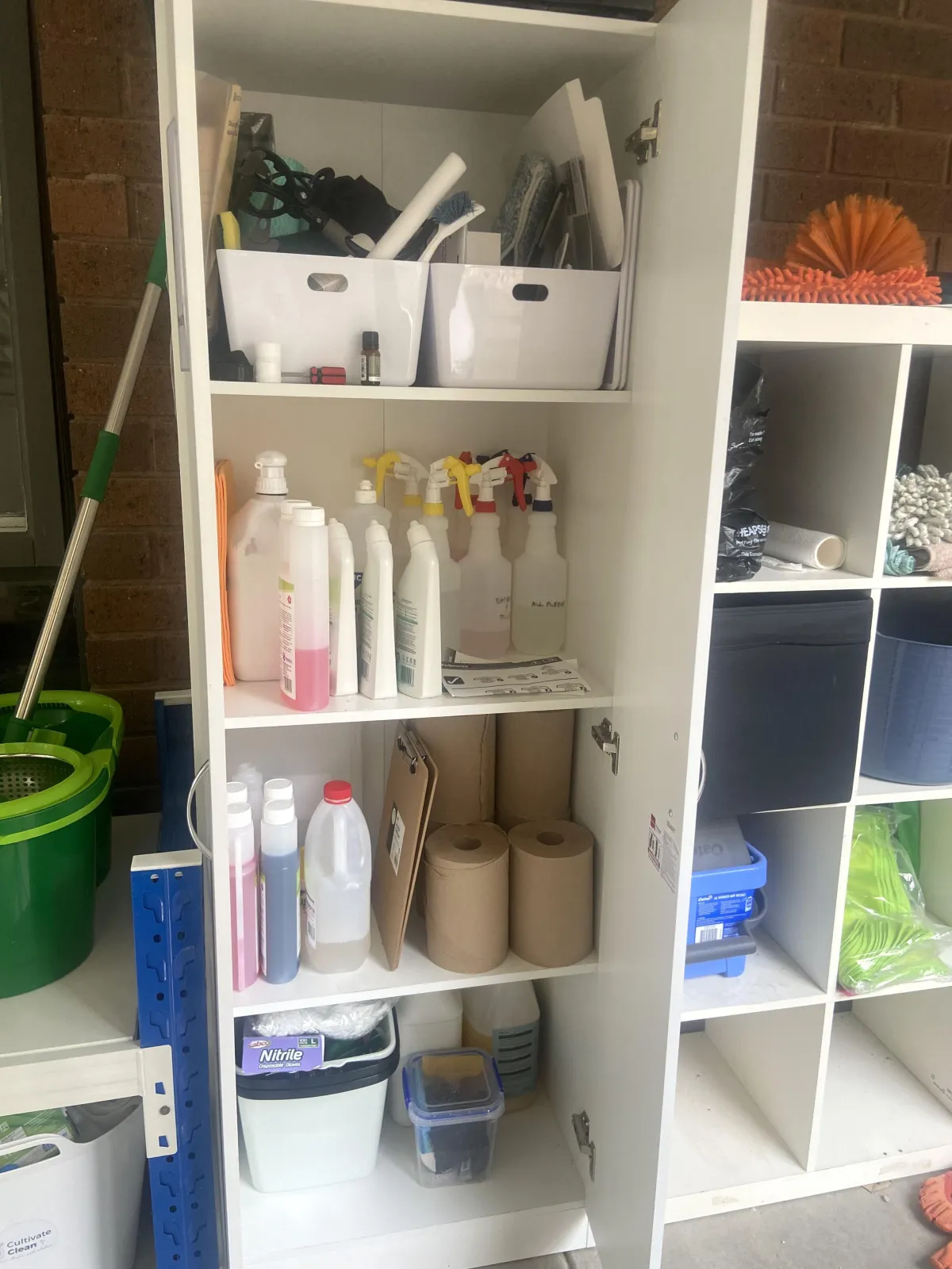 Non-Toxic Cleaning for Families with Kids and Pets 