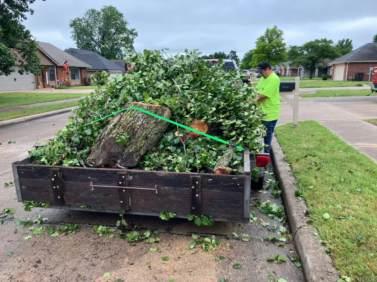 Hauling Off The Tree Debris