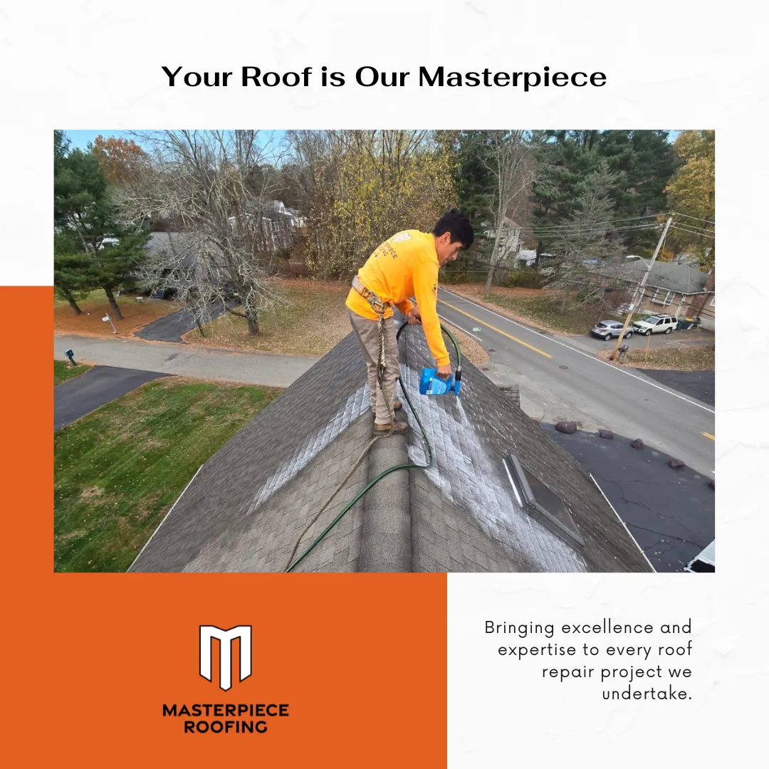 Roof Maxx: Extending Your Roof’s Lifespan Naturally