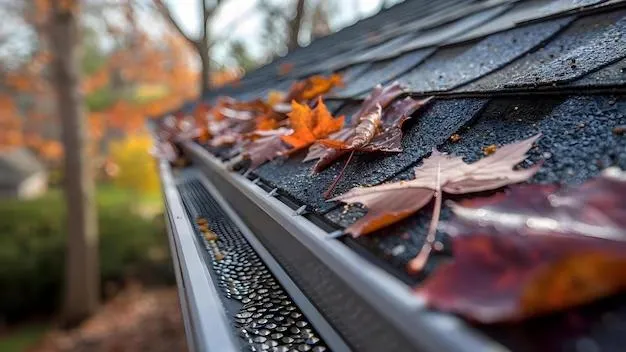 How to clean your roof? Step by step