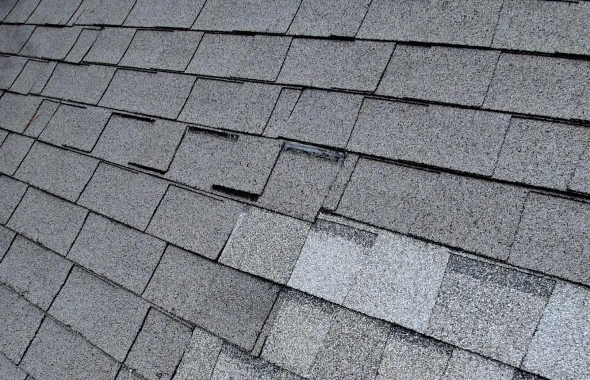 Curling shingle: Causes and how to fix