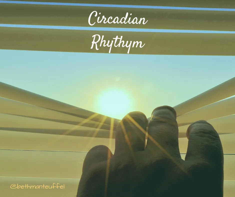 Titled "Circadian Rhythm" with hand pulling down on slat of window blinds to see sun