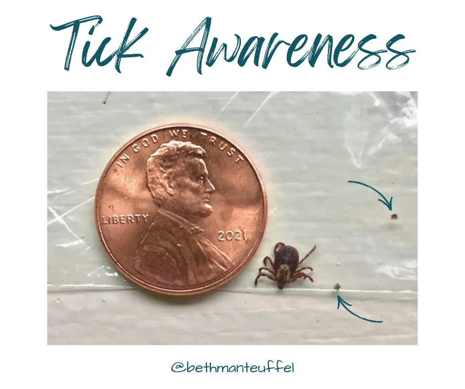 Titled "Tick Awareness" with picture of a large and small ticks next to a penny for scale