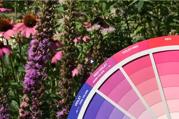 Color Wheel next to flowers blooming in a garden