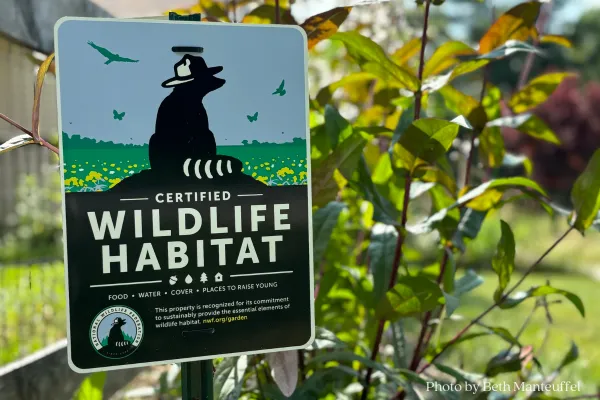 Sign that says Certified Wildife Habitat with yellow flowers behind sign