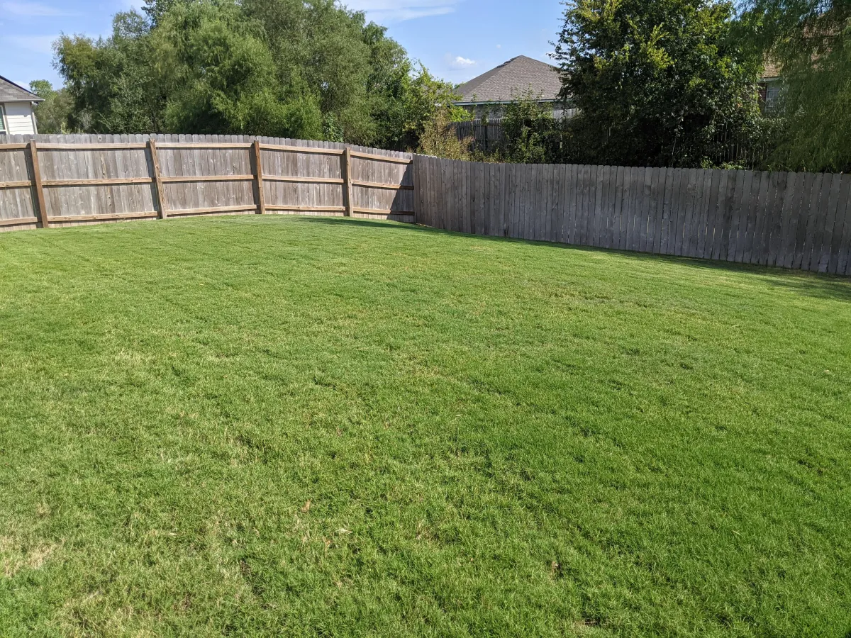 Vibrant green lawn with rich, fertile soil underneath, highlighting Soil Drs.'s expertise in soil health and effective lawn care services in Waco, Texas.