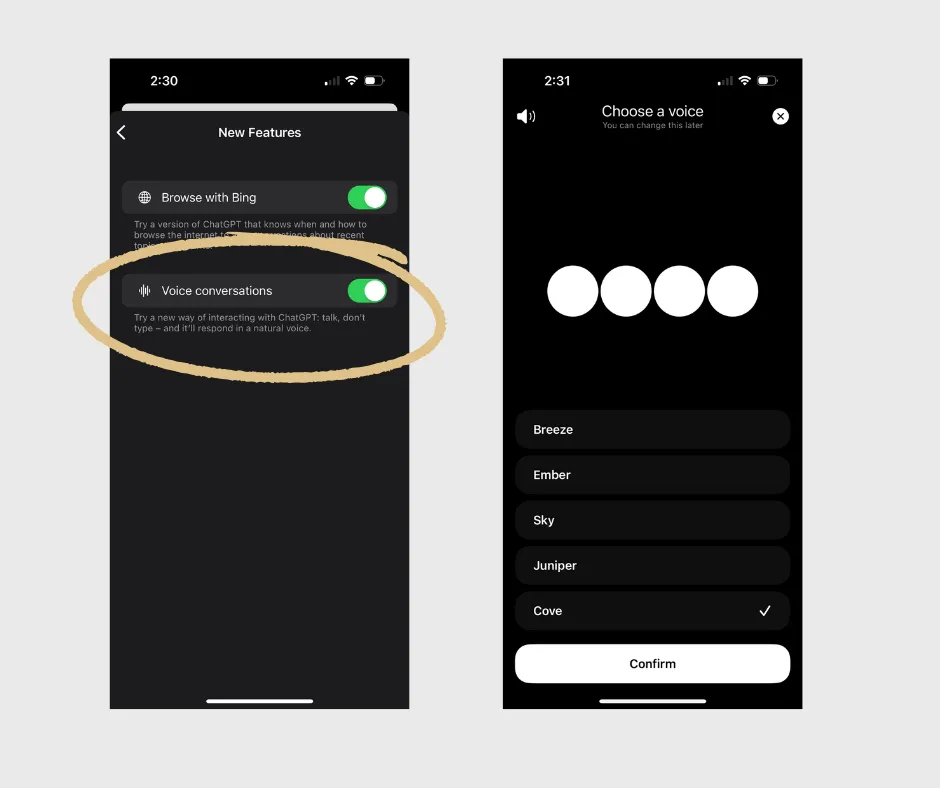 Experience AI Conversations - The New Voice Feature of ChatGPT