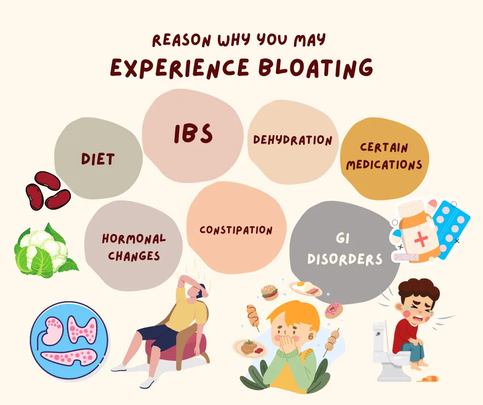 Reasons Why You May Experience Bloating