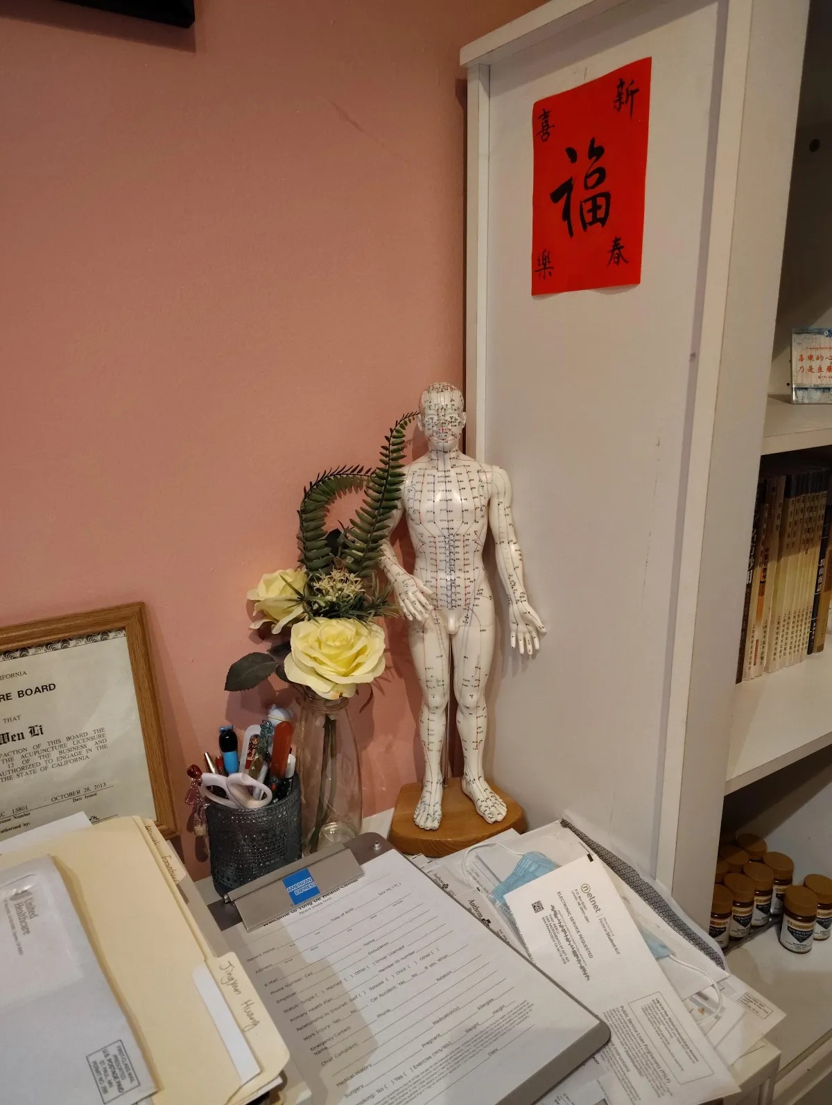 Acupuncture Figure Office Decor