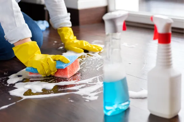 House Cleaning - Maria Ortiz