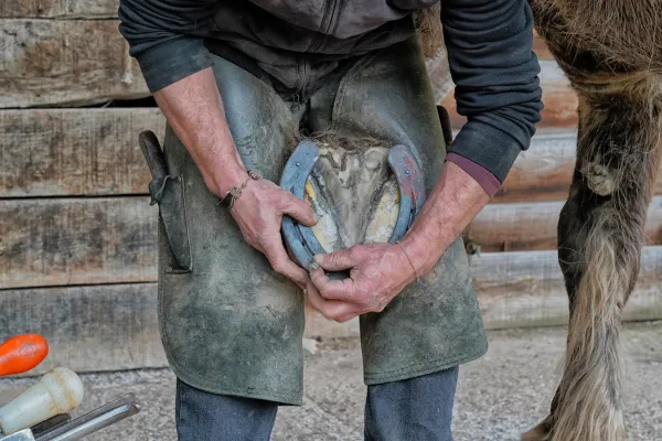 Soronen Farrier