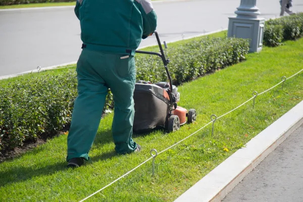 EMERALD SOD FARMS