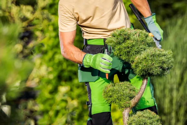 Mile High Tree Care Inc