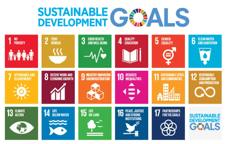 Why sustainability standards demand is increasing day by day