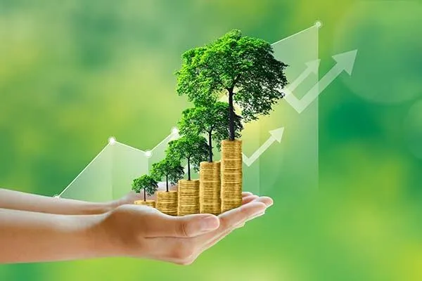 The Future of Certification in the Age of Sustainability and Transparency