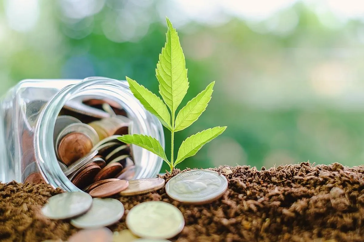 Green Credit Program – Unlocking Sustainability Incentives in Pakistan