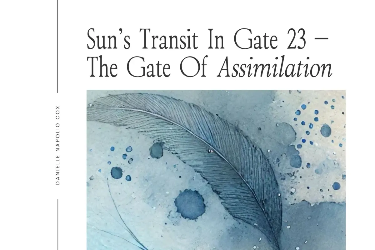 Sun's Transit in Gate 23 Assimilation — Human Design For Business