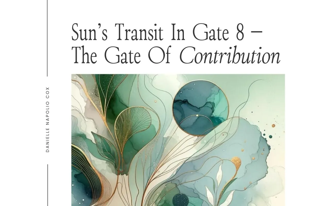 Sun's Transit in Gate 8 Contribution — Human Design For Business