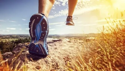 The Connection Between Foot Health and Overall Wellness