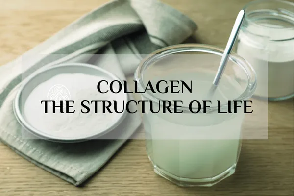 Collagen - The Structure of Life