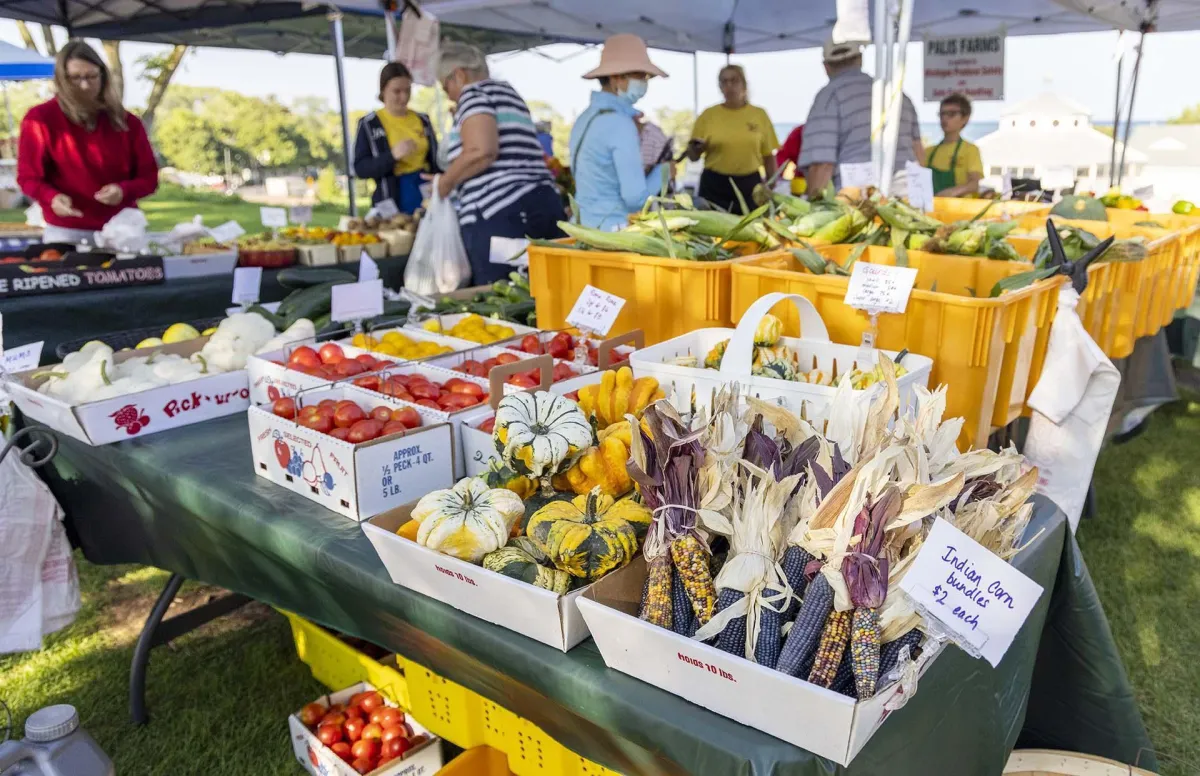 Boost Your Gig Game: Renting a Car for Gig Work at Ferndale's Farmer's Market