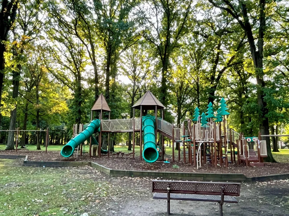 🚗Conquer the Gig Economy at Starr Jaycee Park with Whip It Whips Car Rentals!