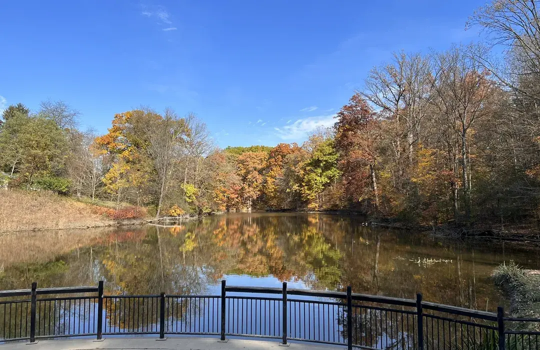 🚗 Nature, Niches & Nonstop Hustle: Why Carpenter Lake Is a Breath of Fresh Air for Gig Workers in Southfield