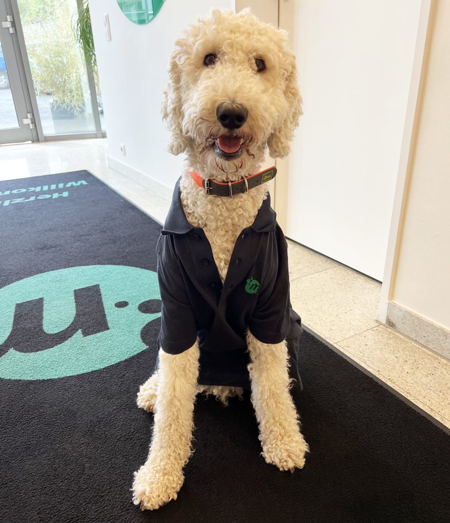 Was macht denn der Hund im Büro?