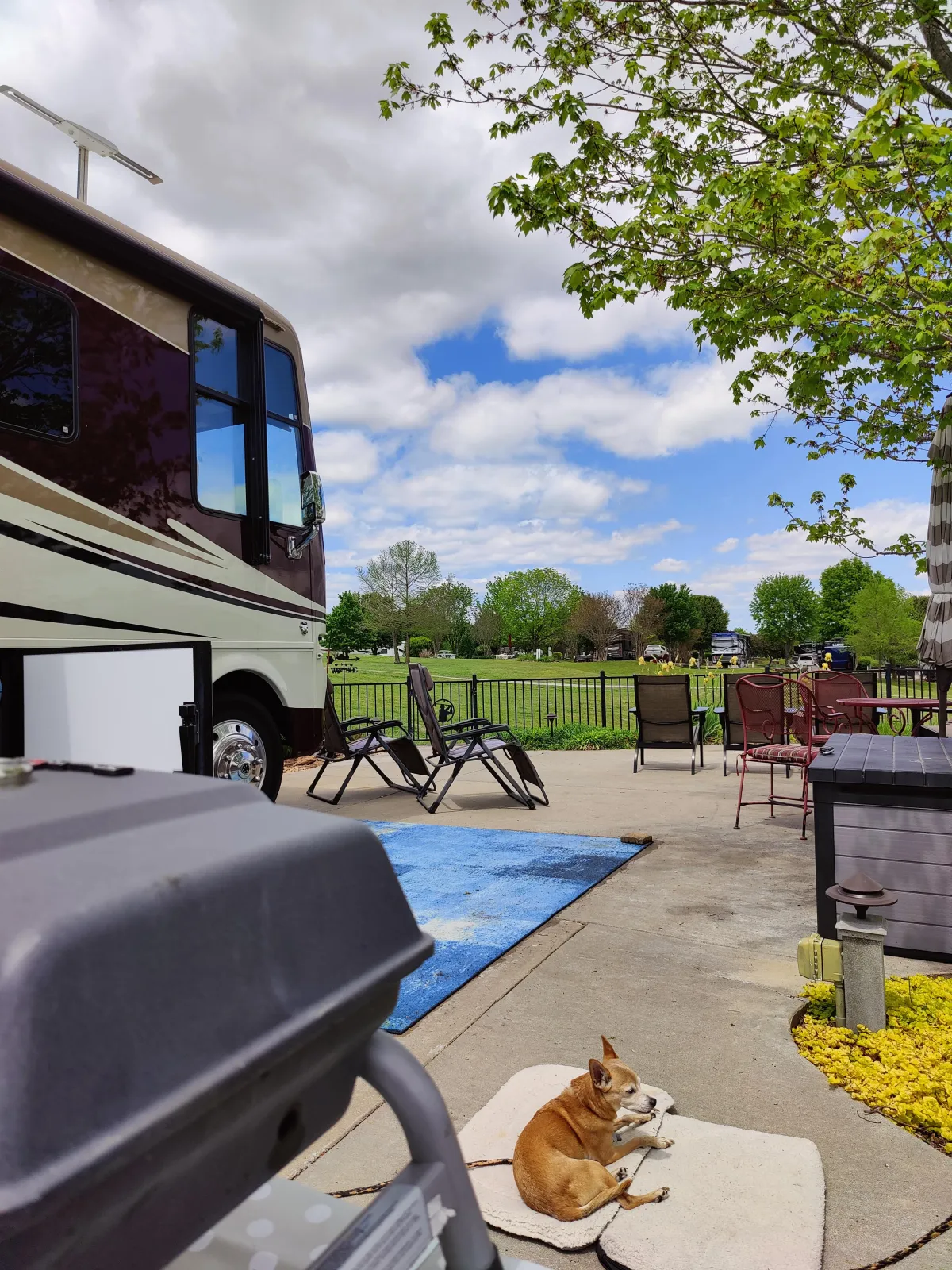 Photo of a Class A Motorhome in a resort
