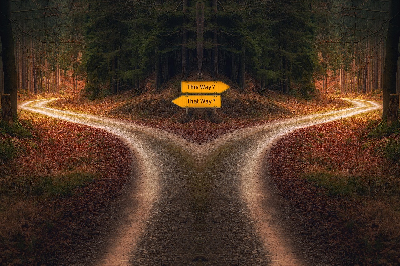 fork in the road